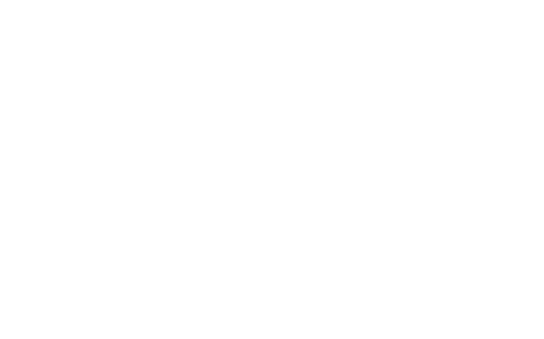 LONE SOLDIER